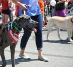 2019 Dog-Friendly Chicago Events