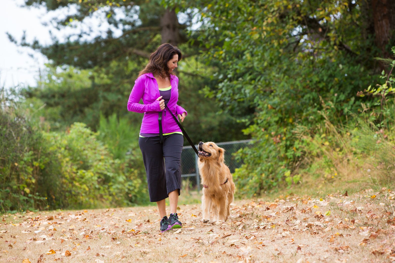 Hikes for Dogs Near Chicago Windy City Paws