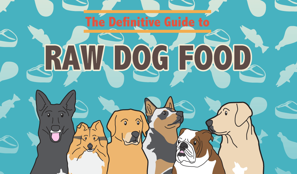 The Definitive Guide To Raw Dog Food Windy City Paws