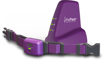 petpace-vet-lp-collar-only