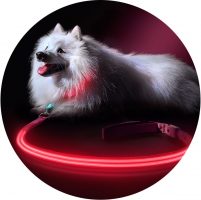 squeaker_poochlight_pink_led_light_up_leash