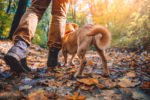 Benefits of Hiking With Your Dog