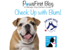Check Up with Blum: Allergies in Dogs