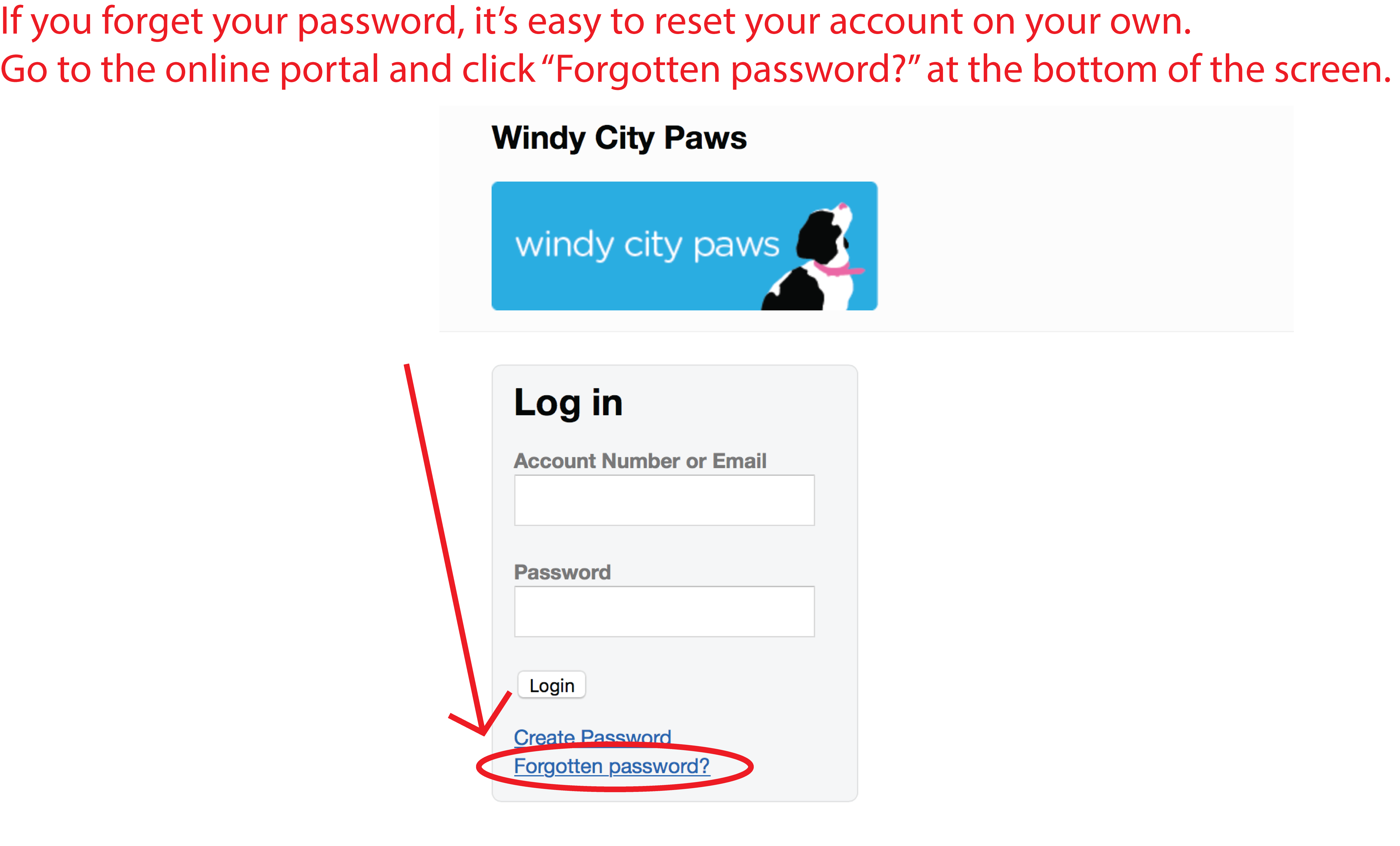 Online Portal FAQ - Windy City Paws
