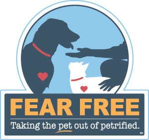 Fear Free Dog Walking