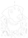 Windy City Paws Coloring Book Pages