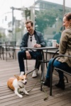 Visiting a Dog-Friendly Restaurant in Chicago with your Pup