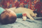 Kids and Cats: How to Introduce a New Child to Your Cat