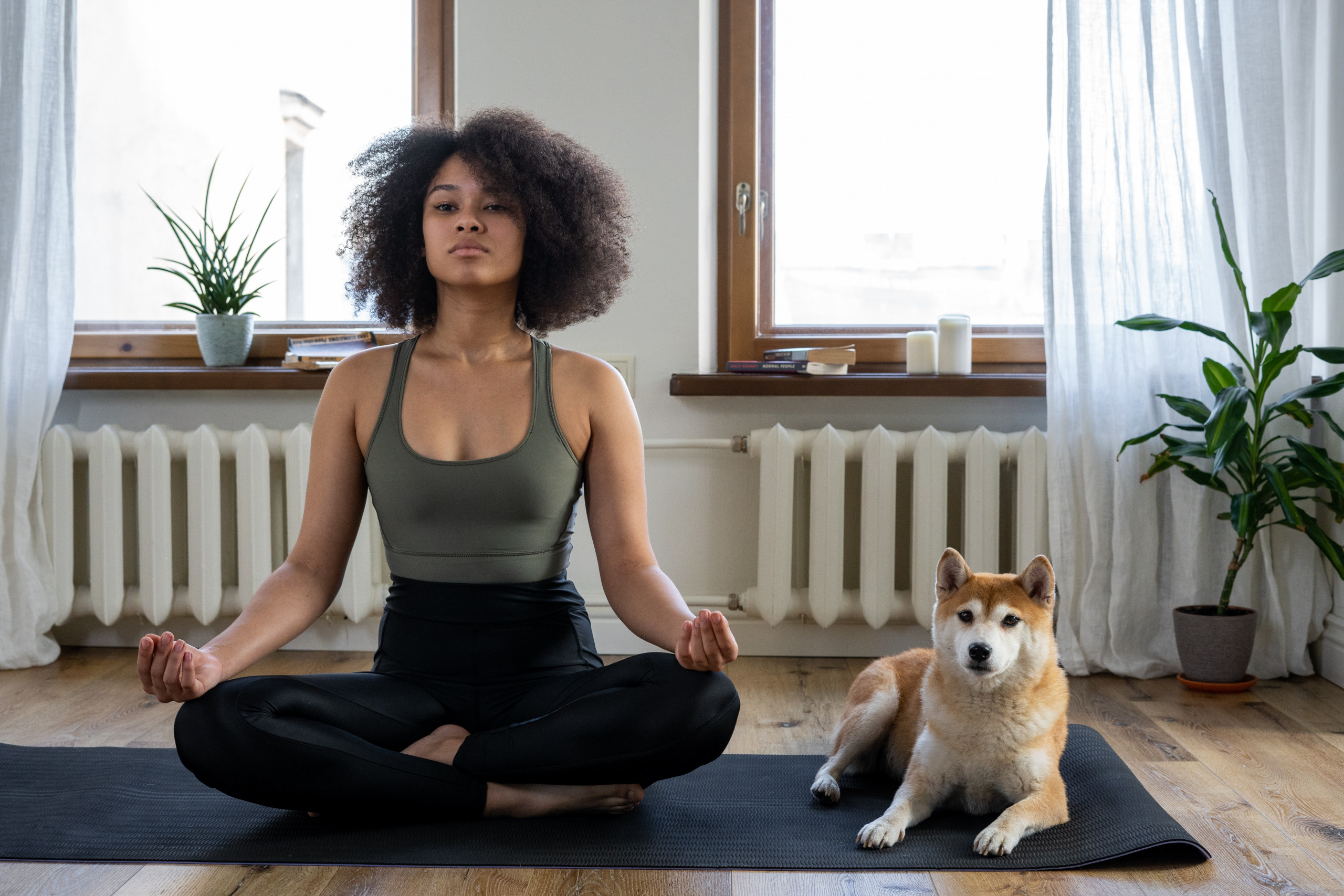 Woman and dog doing yoga