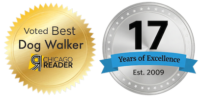 best dog walker seal and years of excellence seal